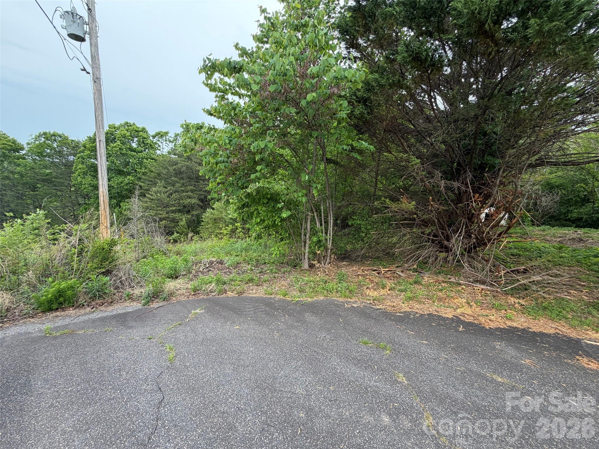 7557 Cowtail Lane Connelly Springs NC 28612