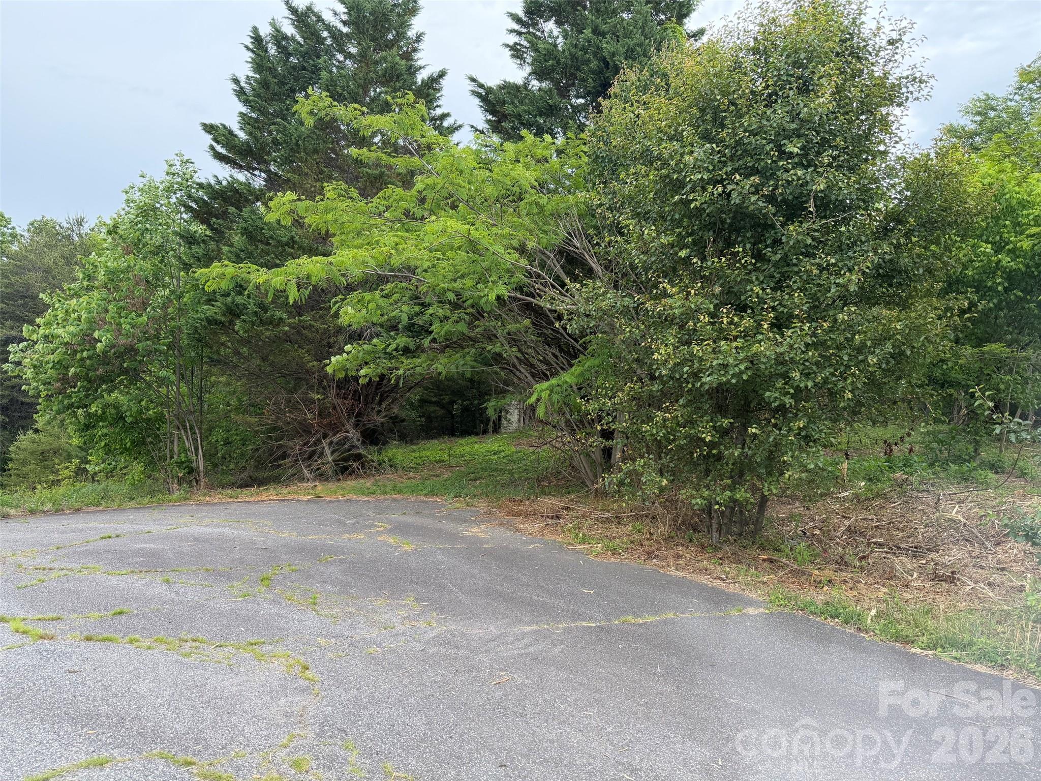 7557 Cowtail Lane Connelly Springs NC 28612