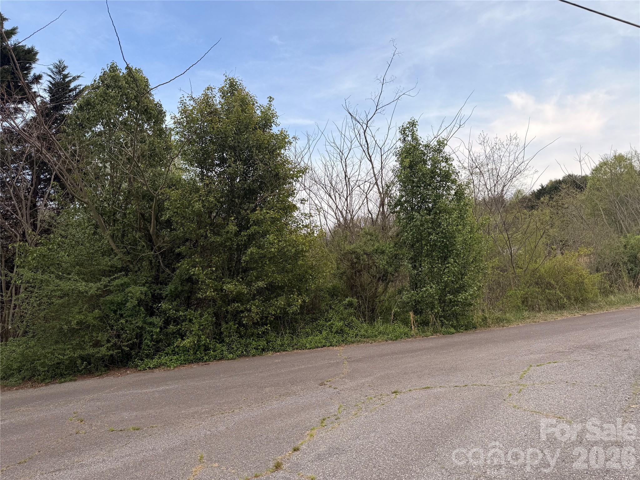 7557 Cowtail Lane Connelly Springs NC 28612