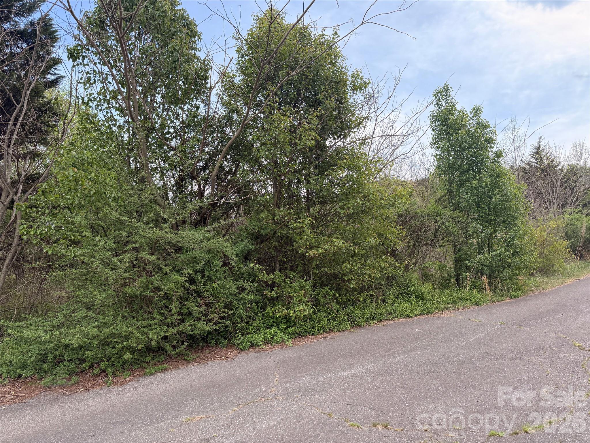 7557 Cowtail Lane Connelly Springs NC 28612