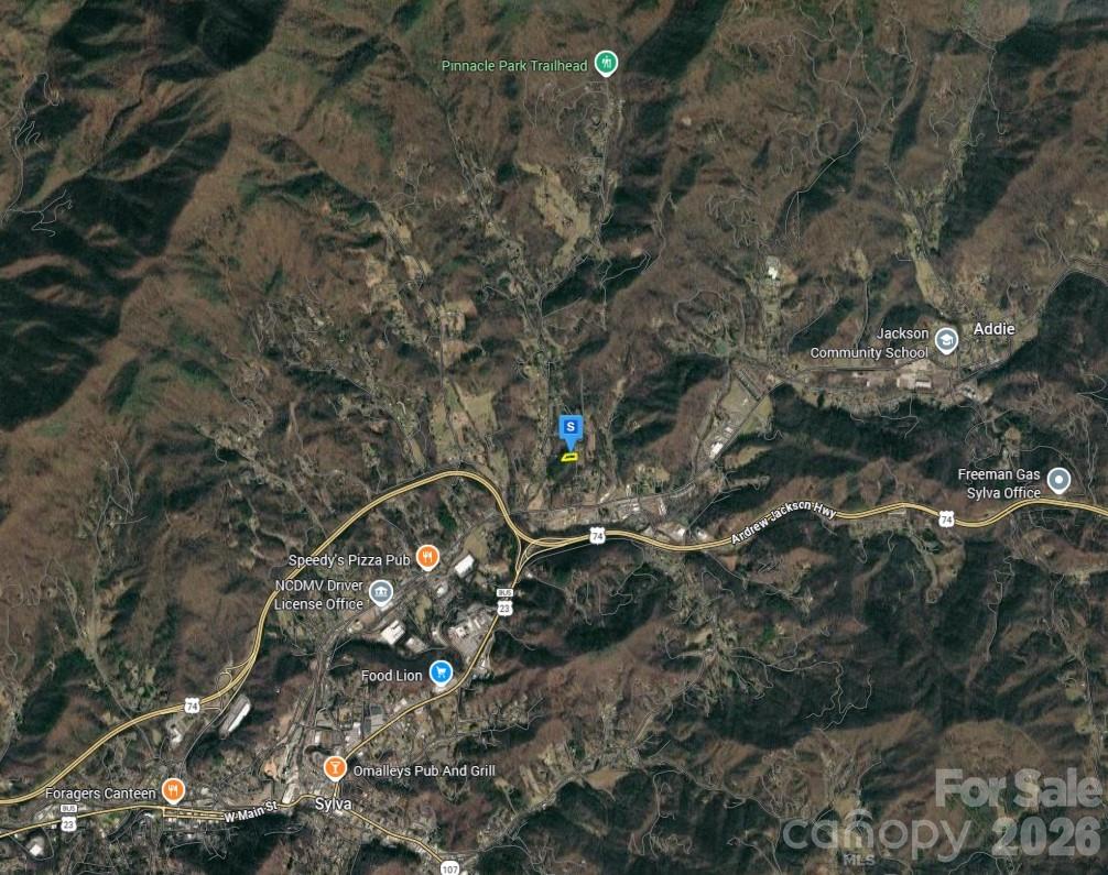 19 Skyland Drive Sylva NC 28779