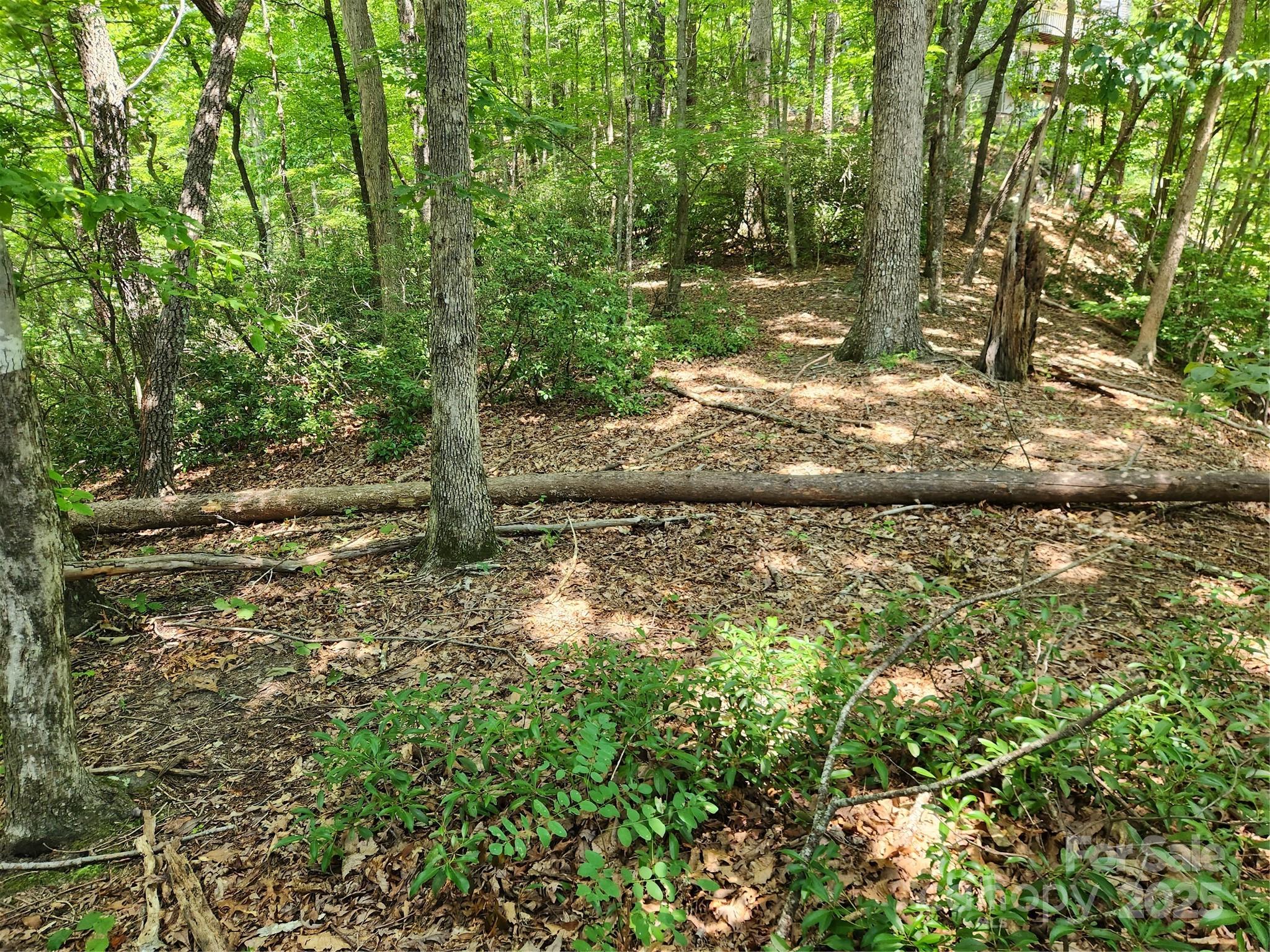 Lot 124, 125, & 101 Banjo Court Lake Lure NC 28746