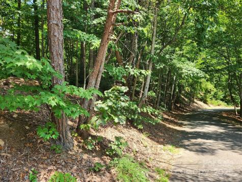 Lot 124, 125, & 101 Banjo Court Lake Lure NC 28746