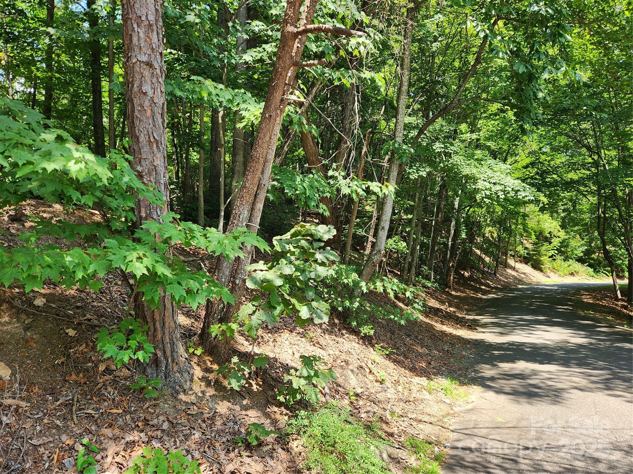 Lot 124, 125, & 101 Banjo Court Lake Lure NC 28746