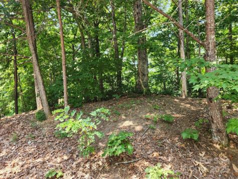 Lot 124, 125, & 101 Banjo Court Lake Lure NC 28746
