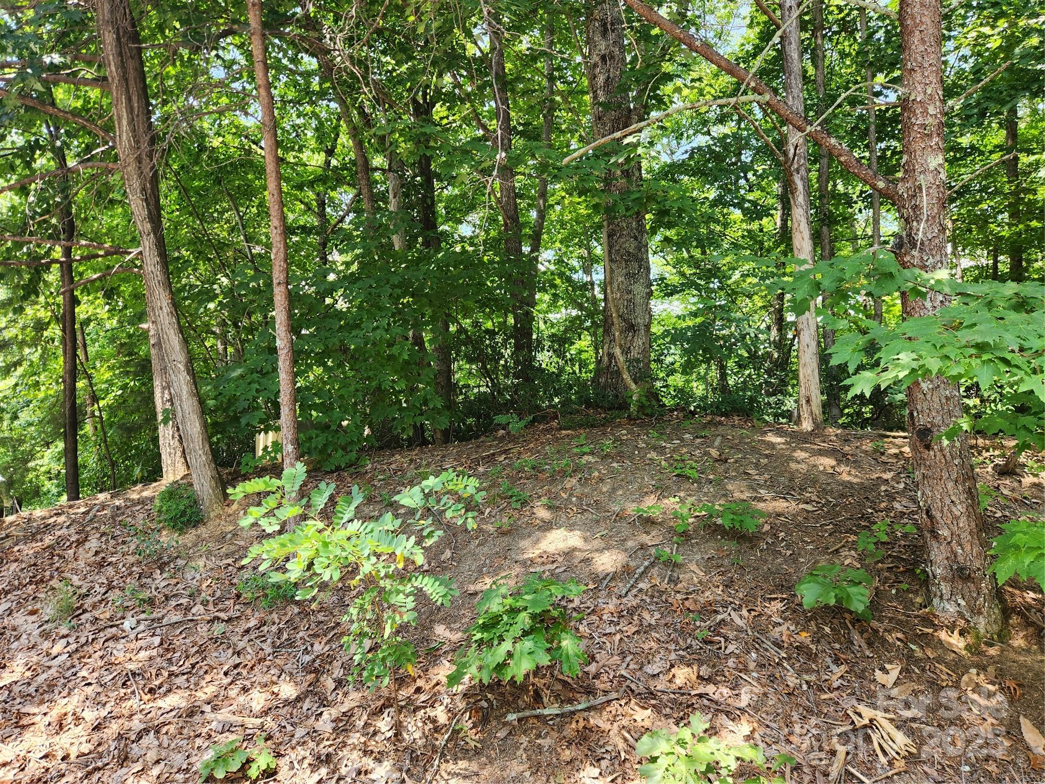 Lot 124, 125, & 101 Banjo Court Lake Lure NC 28746
