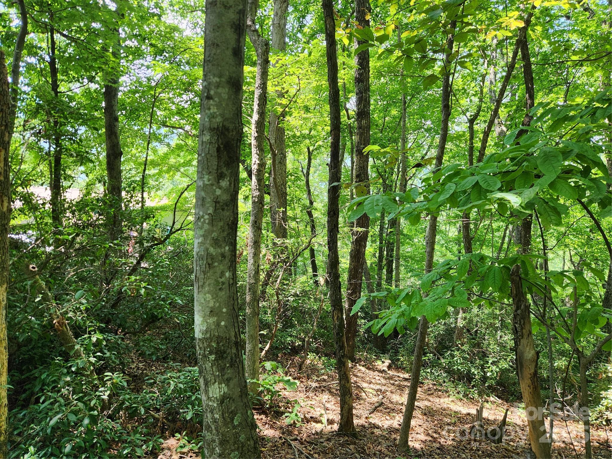 Lot 124, 125, & 101 Banjo Court Lake Lure NC 28746