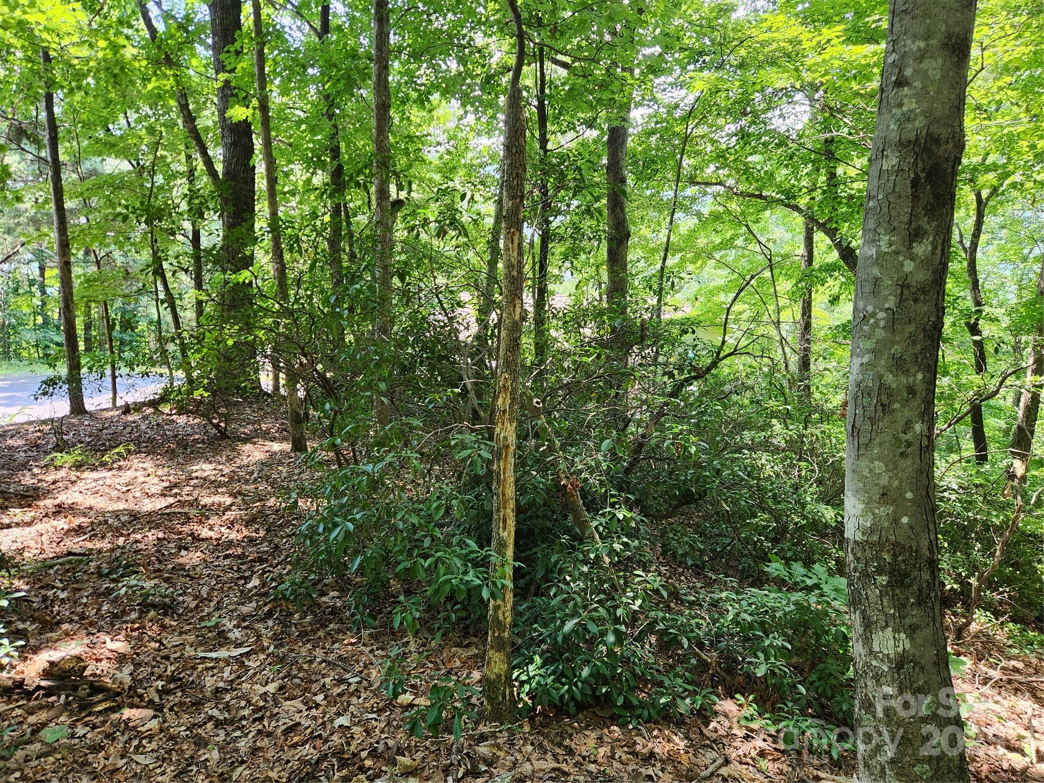 Lot 124, 125, & 101 Banjo Court Lake Lure NC 28746