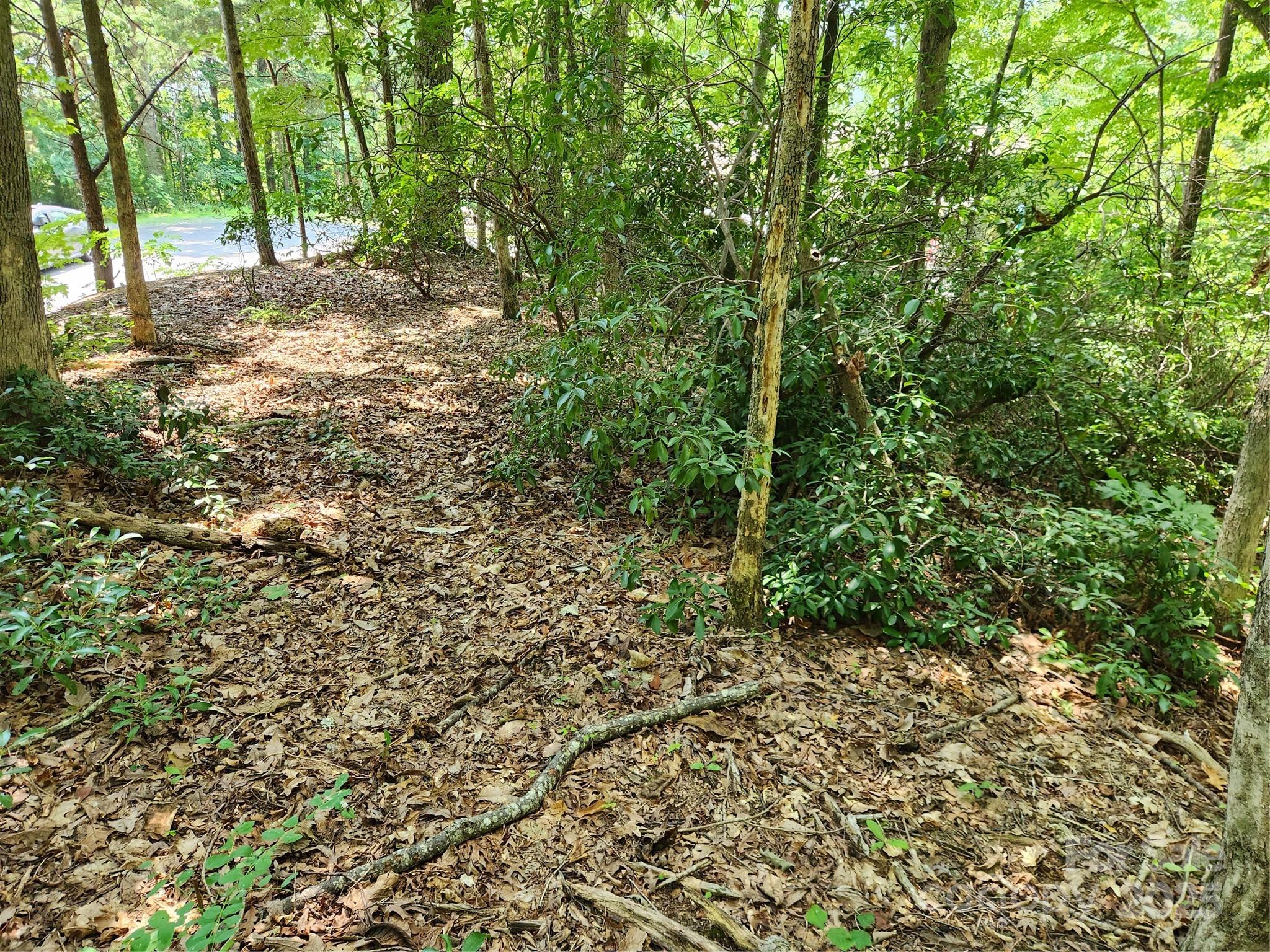 Lot 124, 125, & 101 Banjo Court Lake Lure NC 28746