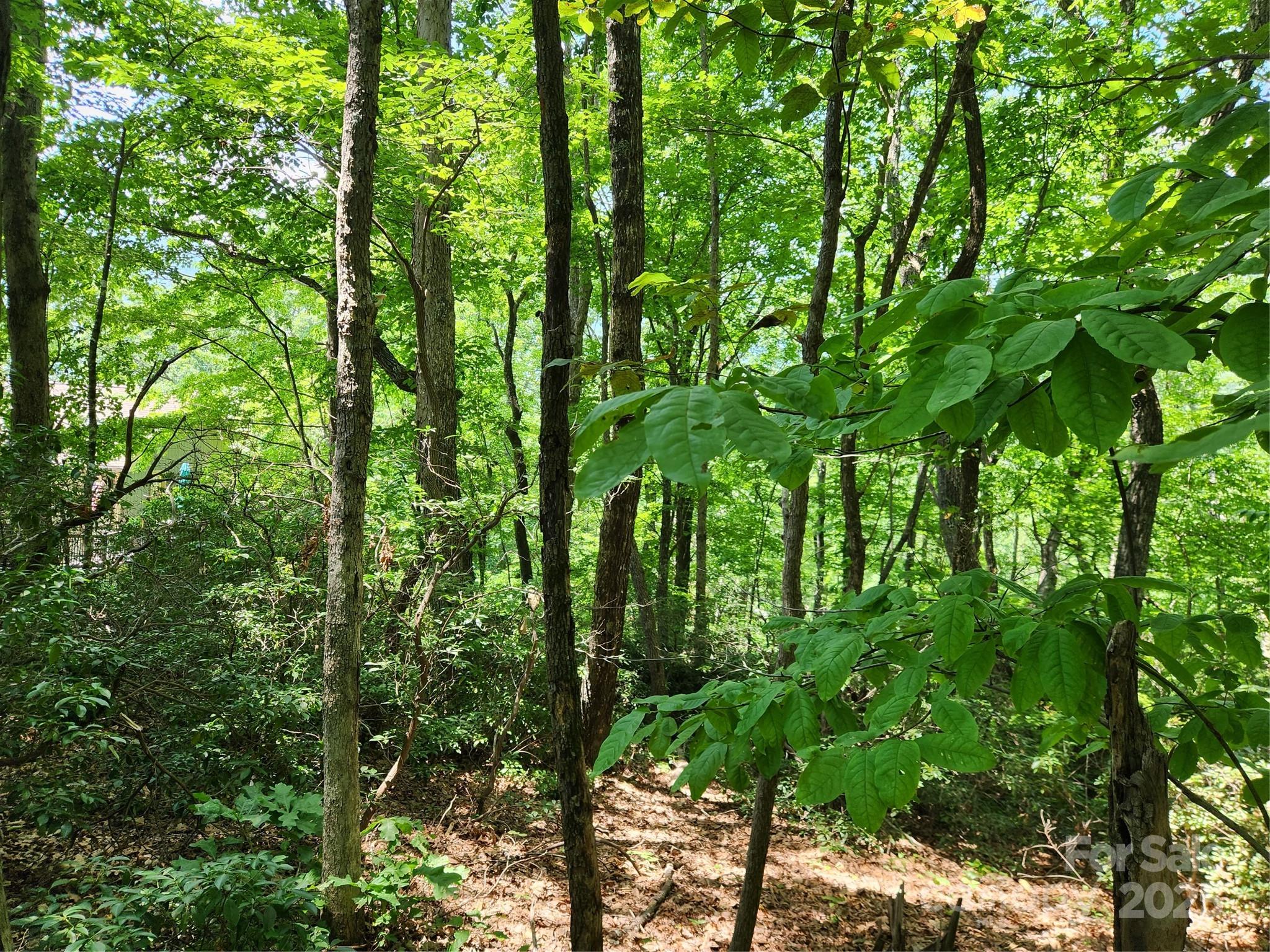 Lot 124, 125, & 101 Banjo Court Lake Lure NC 28746