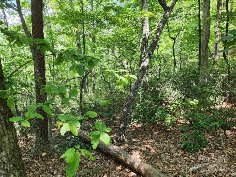 Lot 124, 125, & 101 Banjo Court Lake Lure NC 28746