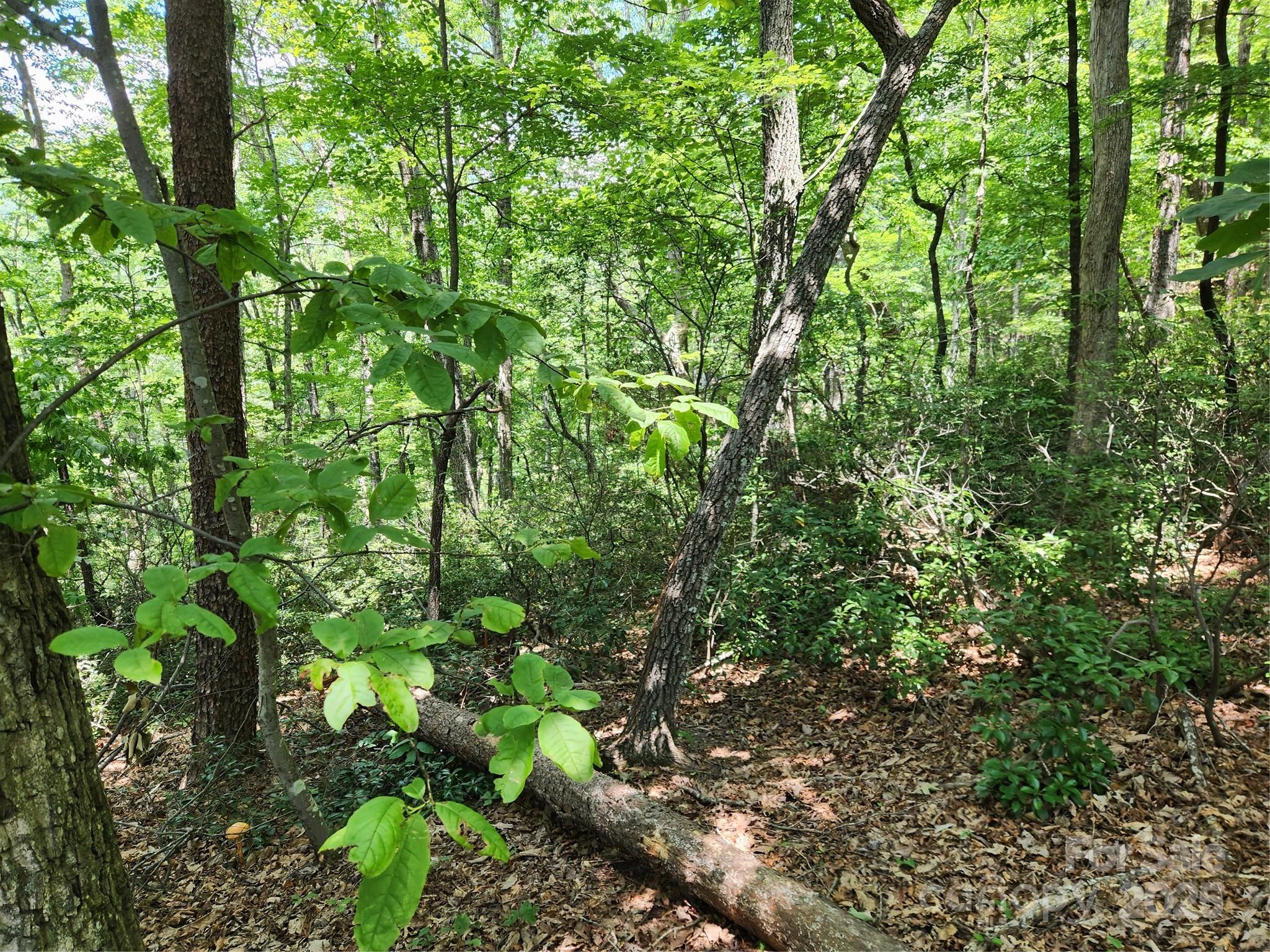 Lot 124, 125, & 101 Banjo Court Lake Lure NC 28746