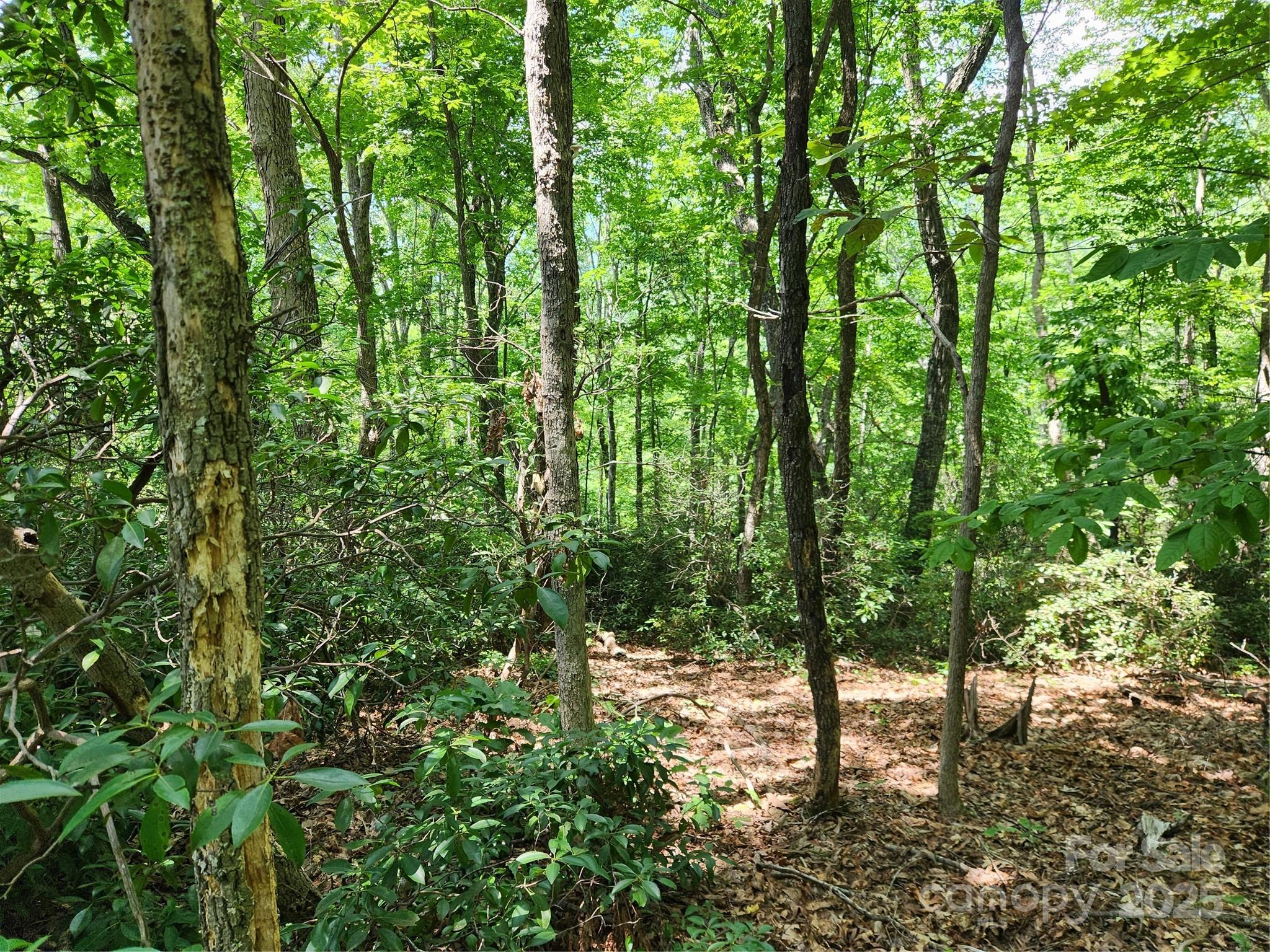 Lot 124, 125, & 101 Banjo Court Lake Lure NC 28746