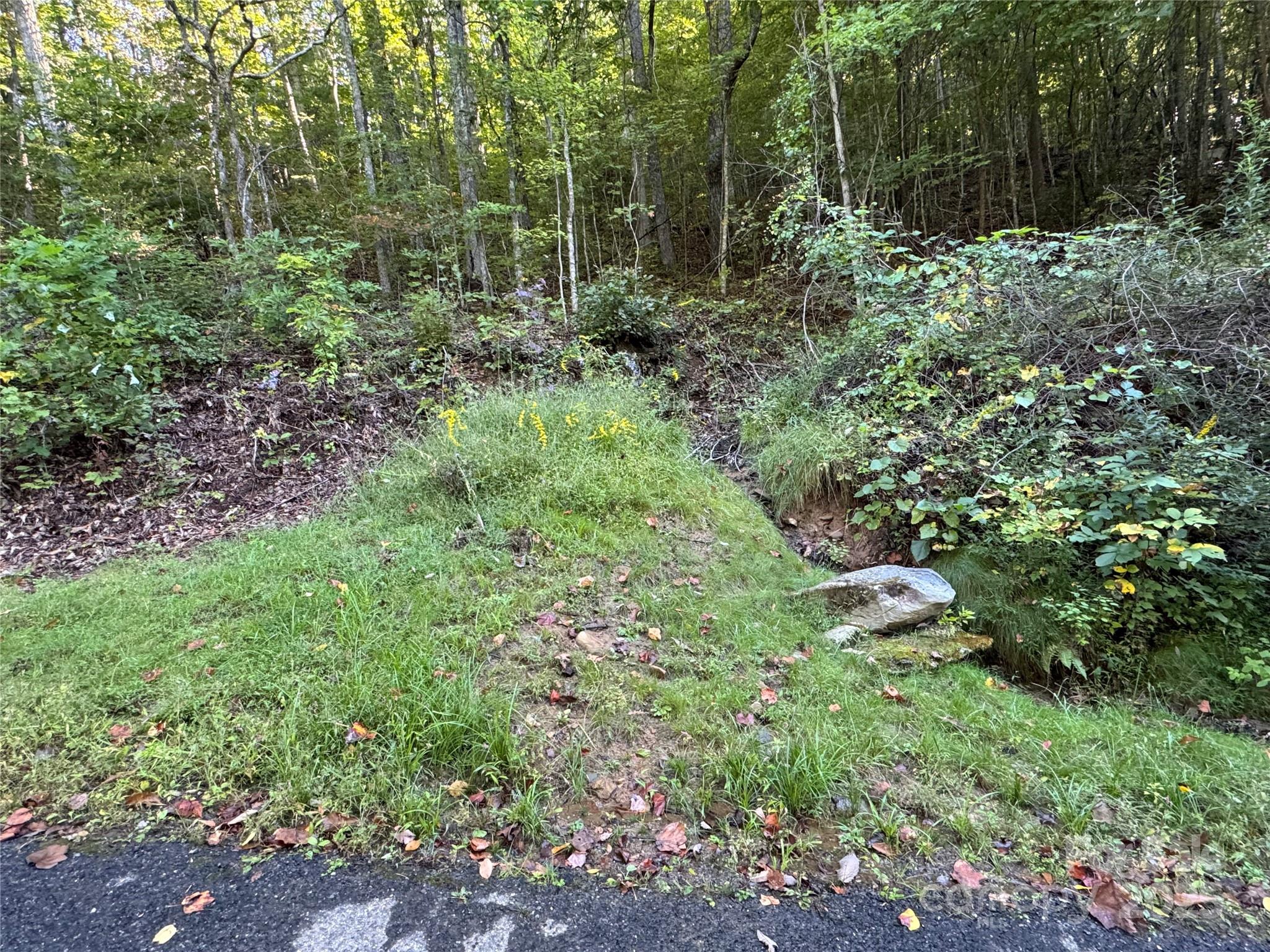 999 Red Oak Forest Road Fairview NC 28730