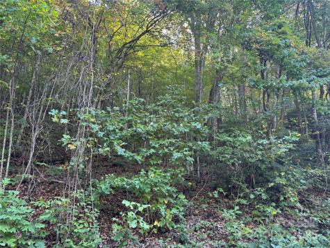 999 Red Oak Forest Road Fairview NC 28730