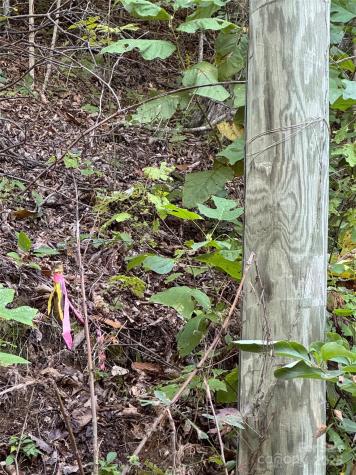 999 Red Oak Forest Road Fairview NC 28730