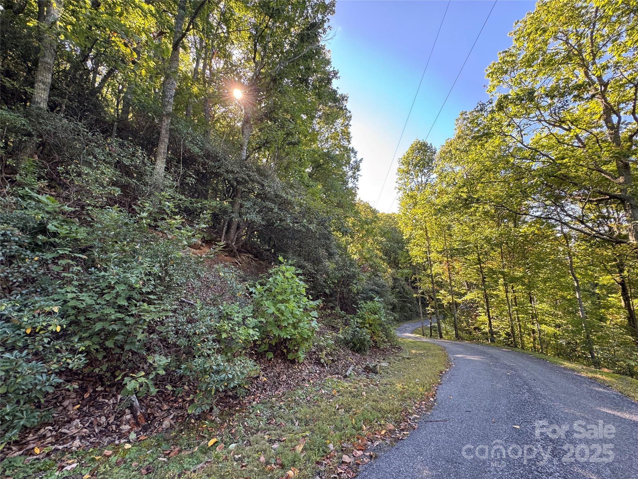 999 Red Oak Forest Road Fairview NC 28730