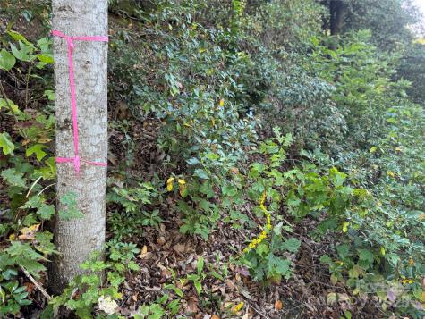 999 Red Oak Forest Road Fairview NC 28730