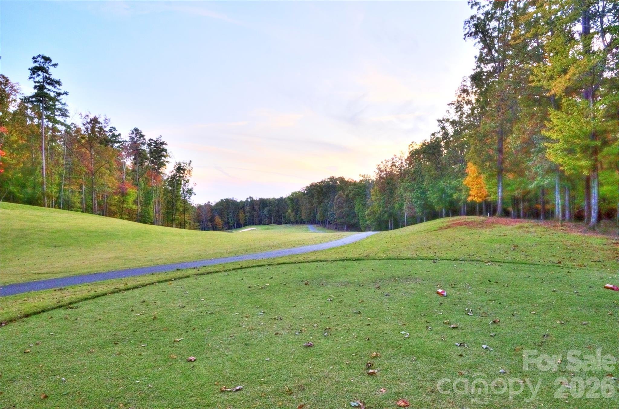 000 Shagbark Court Mount Gilead NC 27306