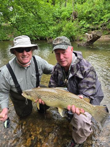 0 Mountain River Place Zirconia NC 28773