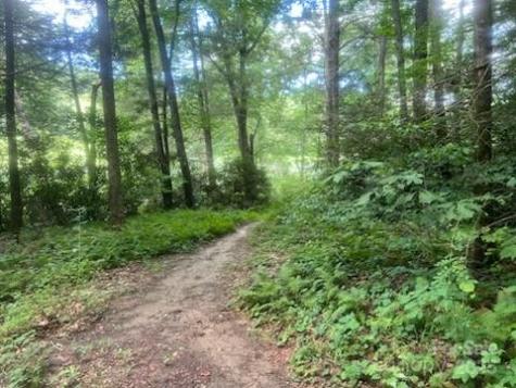 0 Mountain River Place Zirconia NC 28773