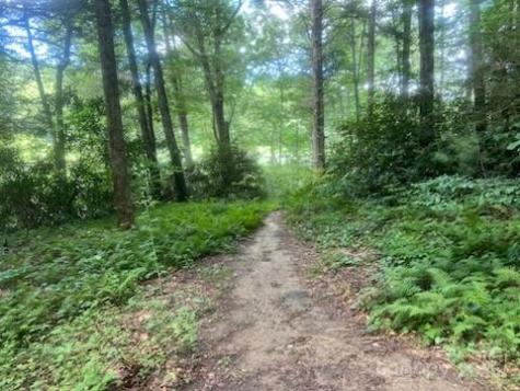 0 Mountain River Place Zirconia NC 28773