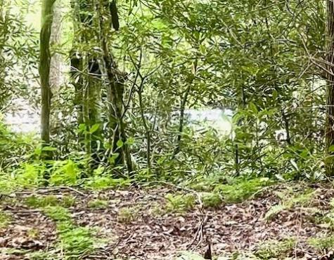 0 Mountain River Place Zirconia NC 28773