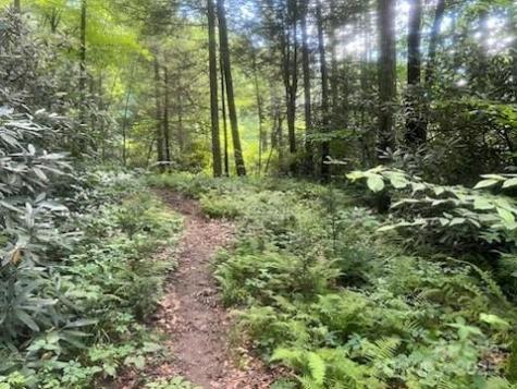 0 Mountain River Place Zirconia NC 28773