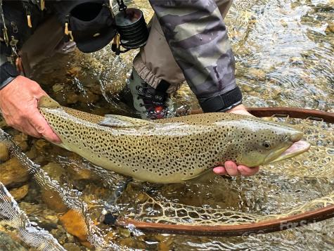 0 Mountain River Place Zirconia NC 28773