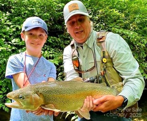 0 Mountain River Place Zirconia NC 28773