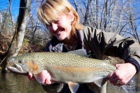 0 Mountain River Place Zirconia NC 28773