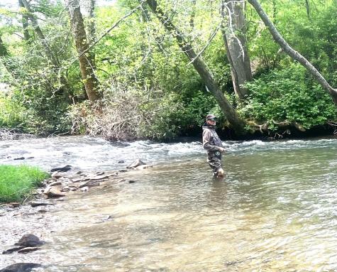 0 Mountain River Place Zirconia NC 28773