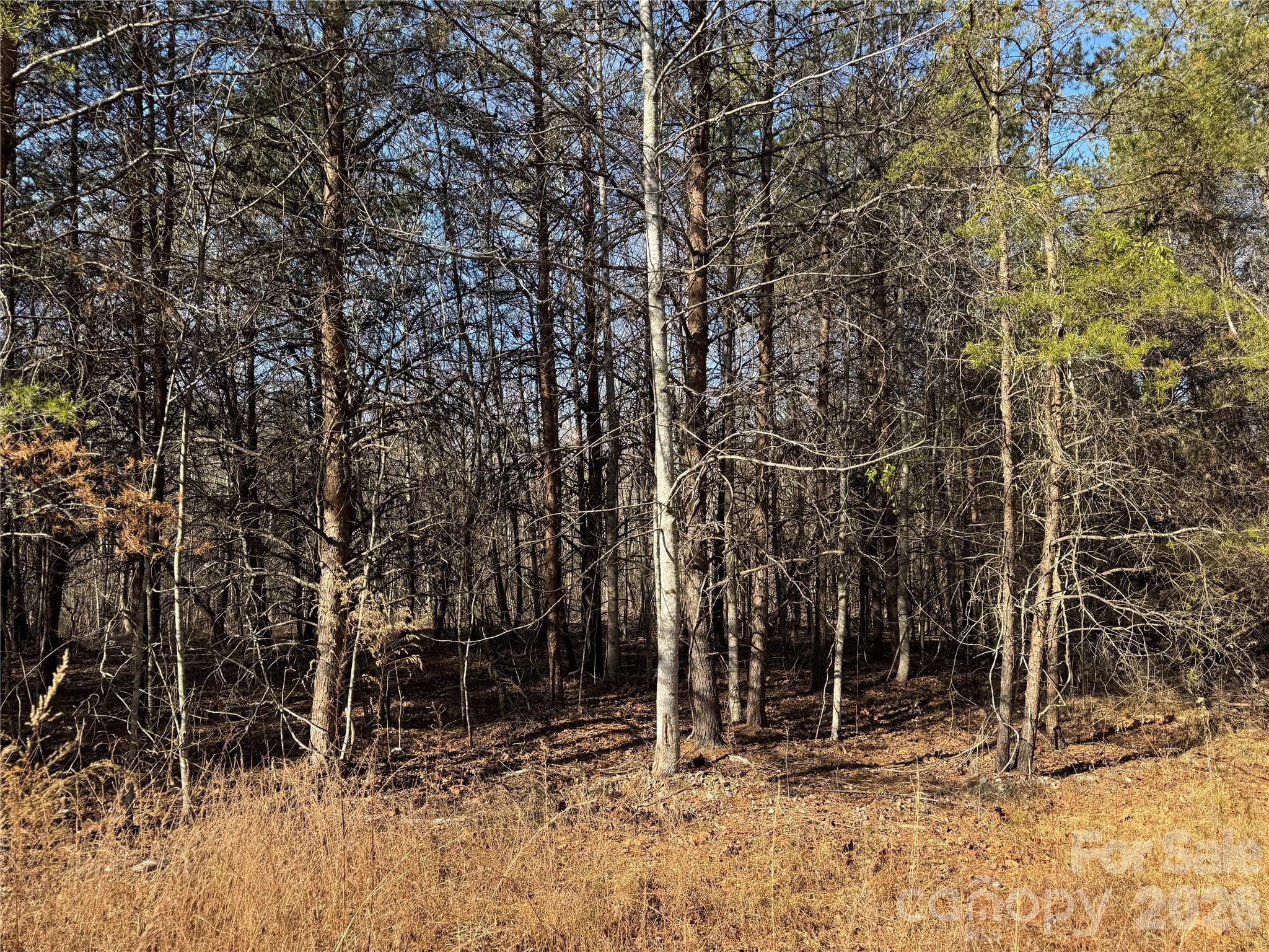 0 Burt Blackwell Road Mill Spring NC 28756
