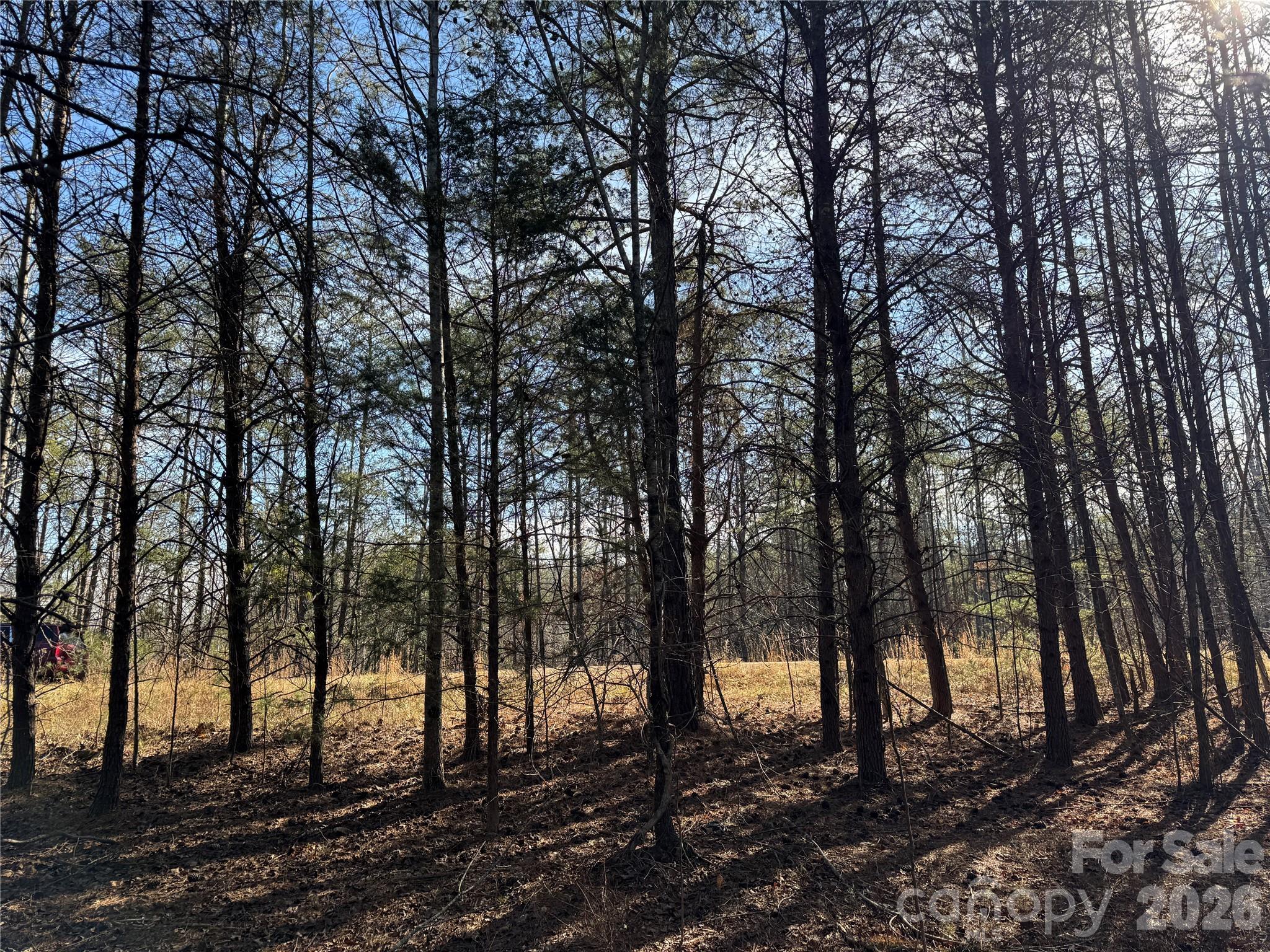 0 Burt Blackwell Road Mill Spring NC 28756