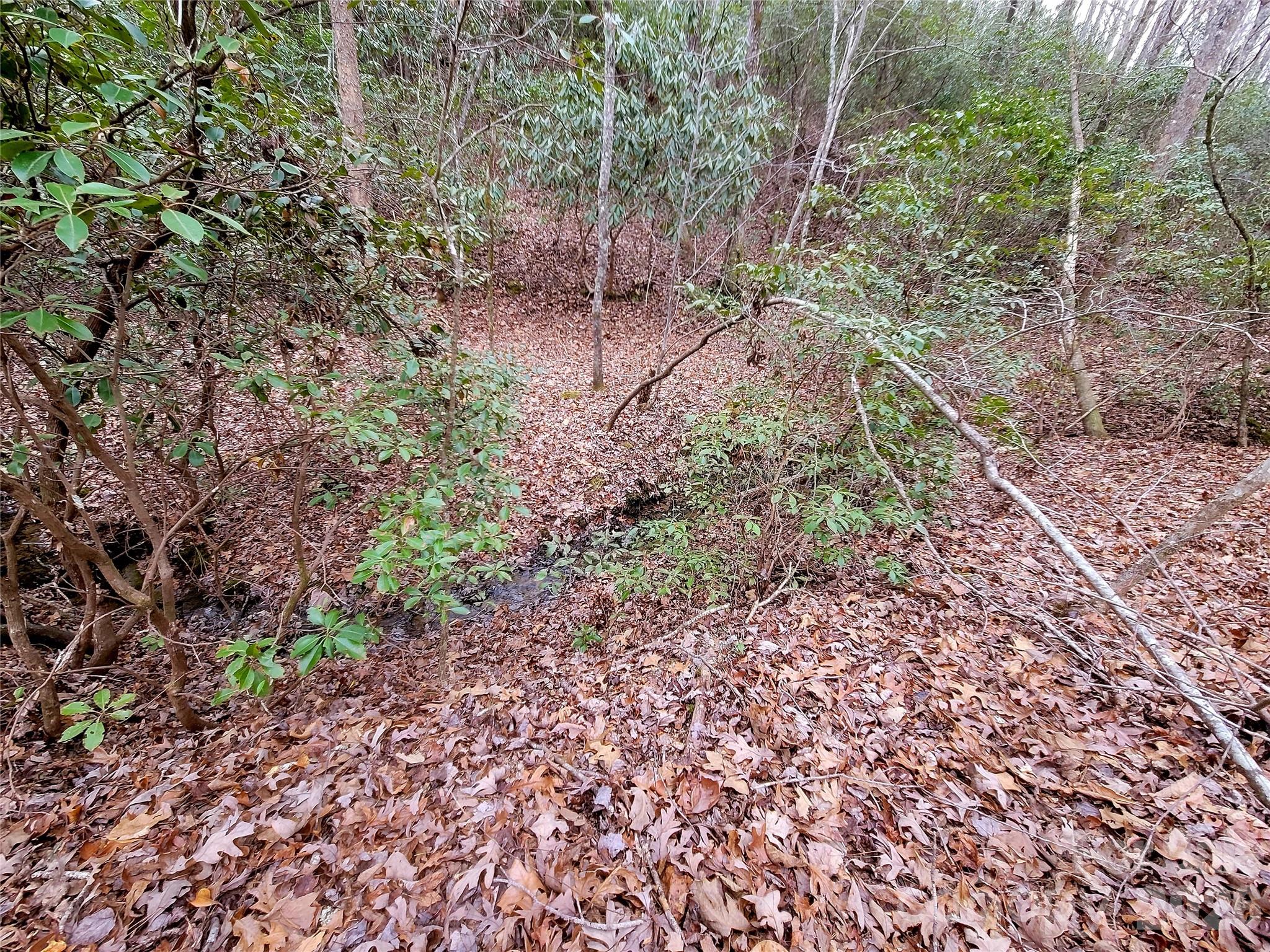 0 Birddog Boulevard Lake Lure NC 28746