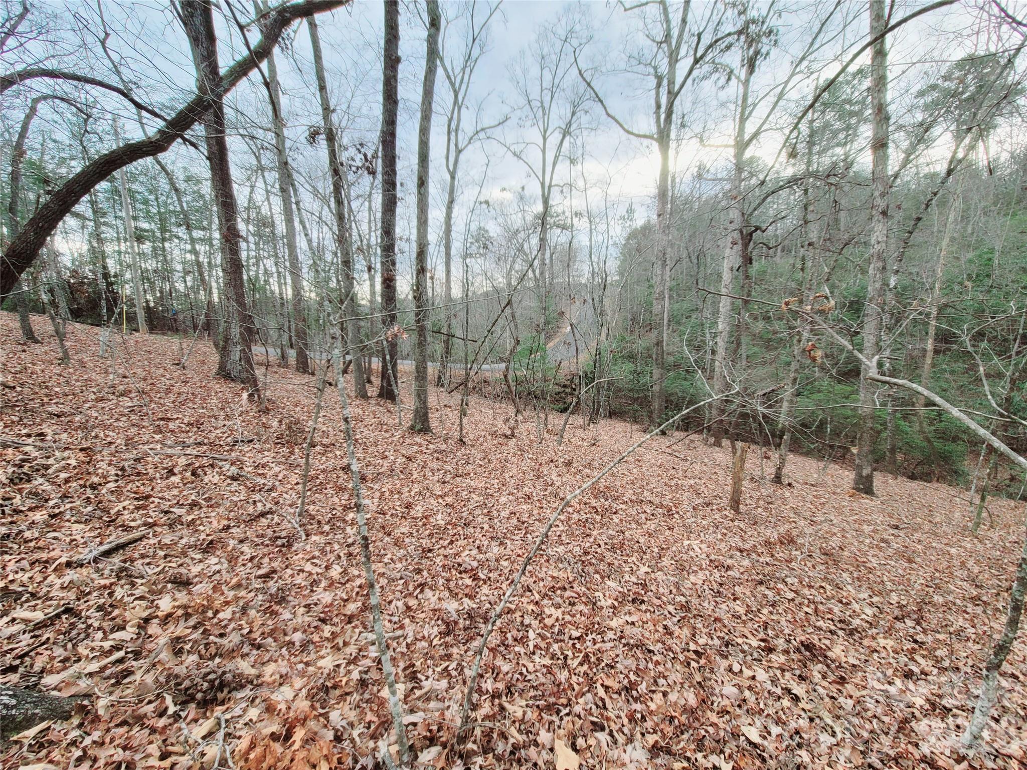 0 Birddog Boulevard Lake Lure NC 28746