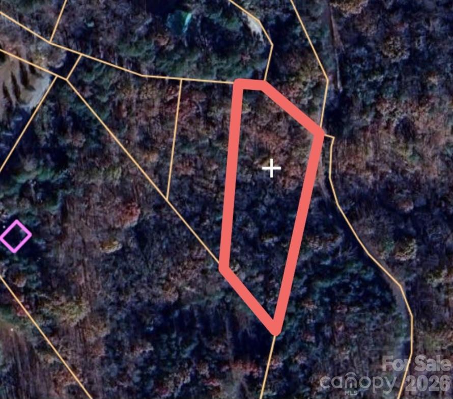 0 Birddog Boulevard Lake Lure NC 28746