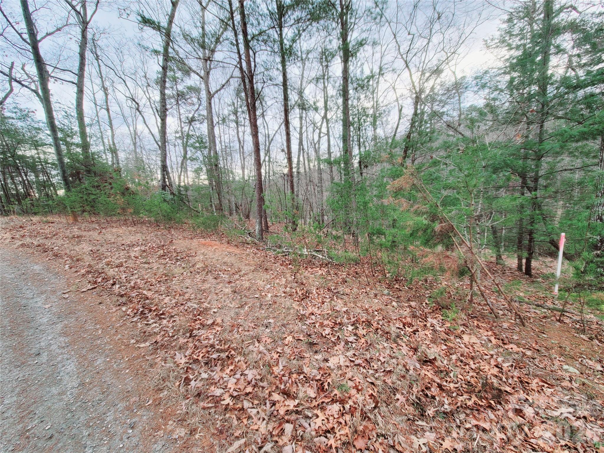 0 Birddog Boulevard Lake Lure NC 28746