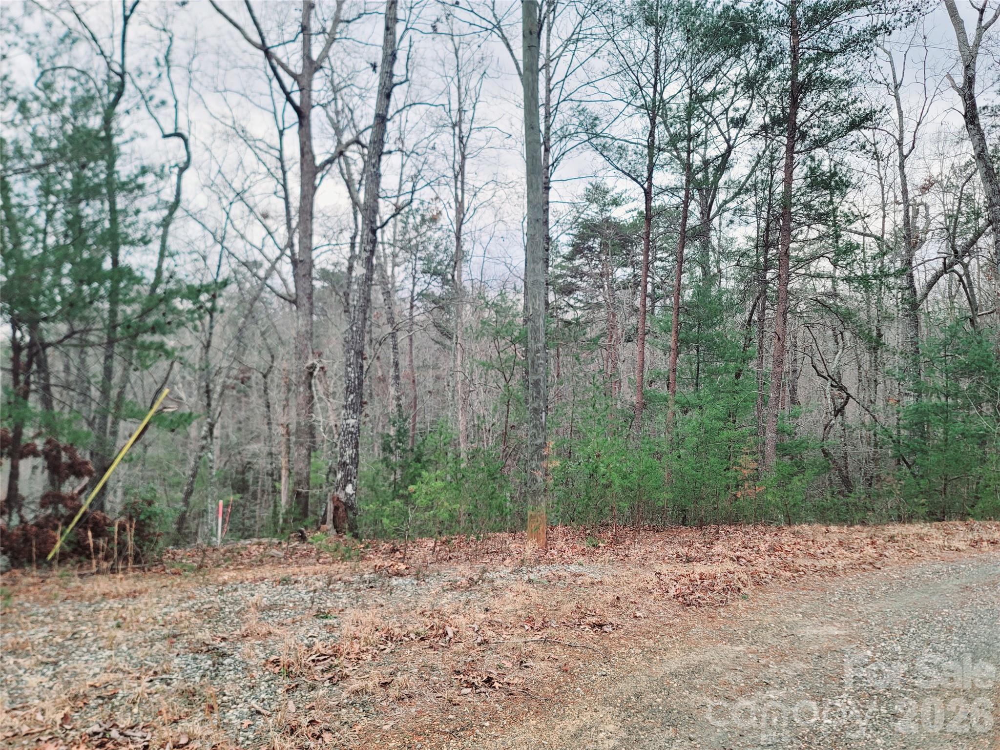 0 Birddog Boulevard Lake Lure NC 28746