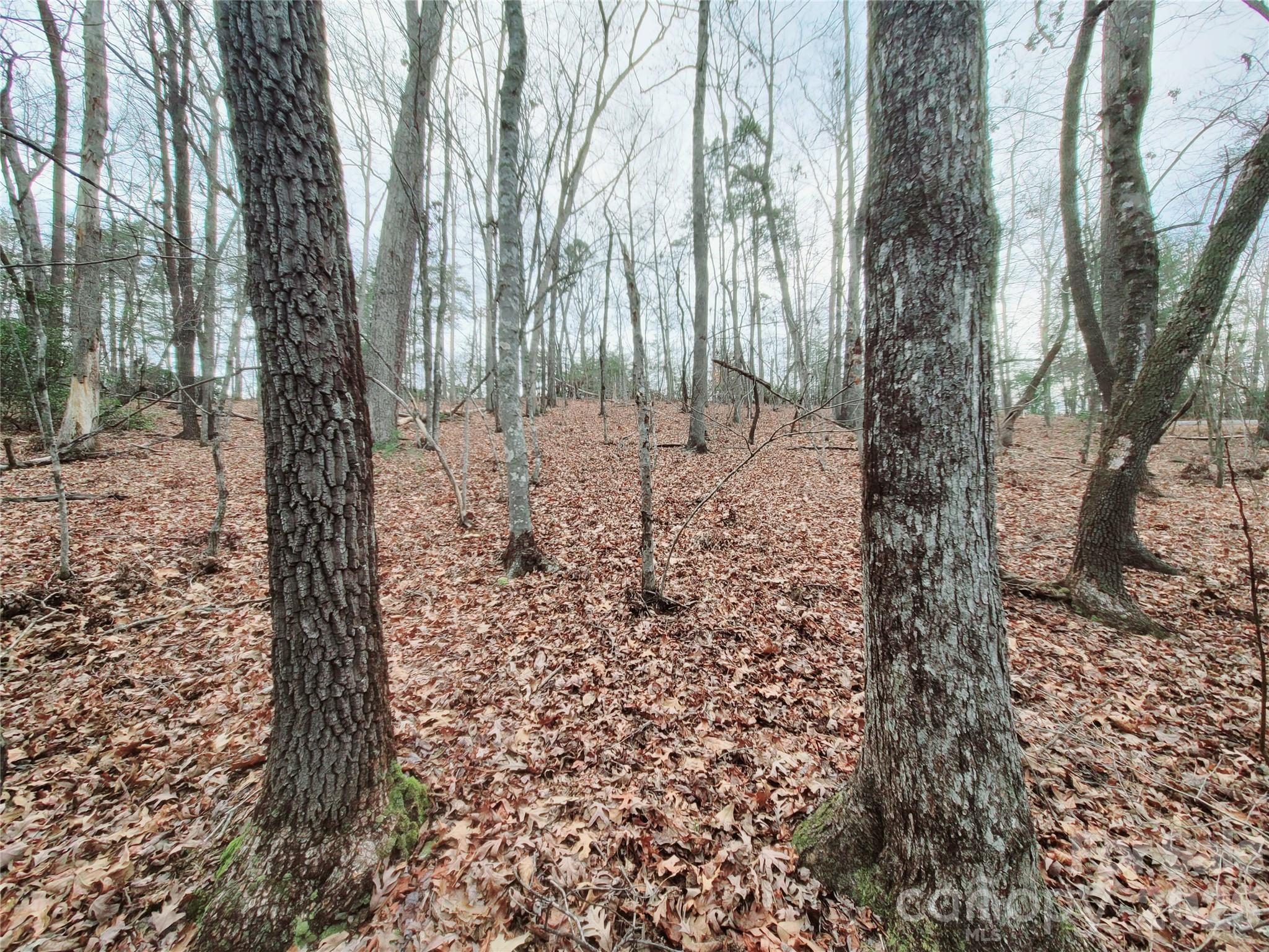0 Birddog Boulevard Lake Lure NC 28746