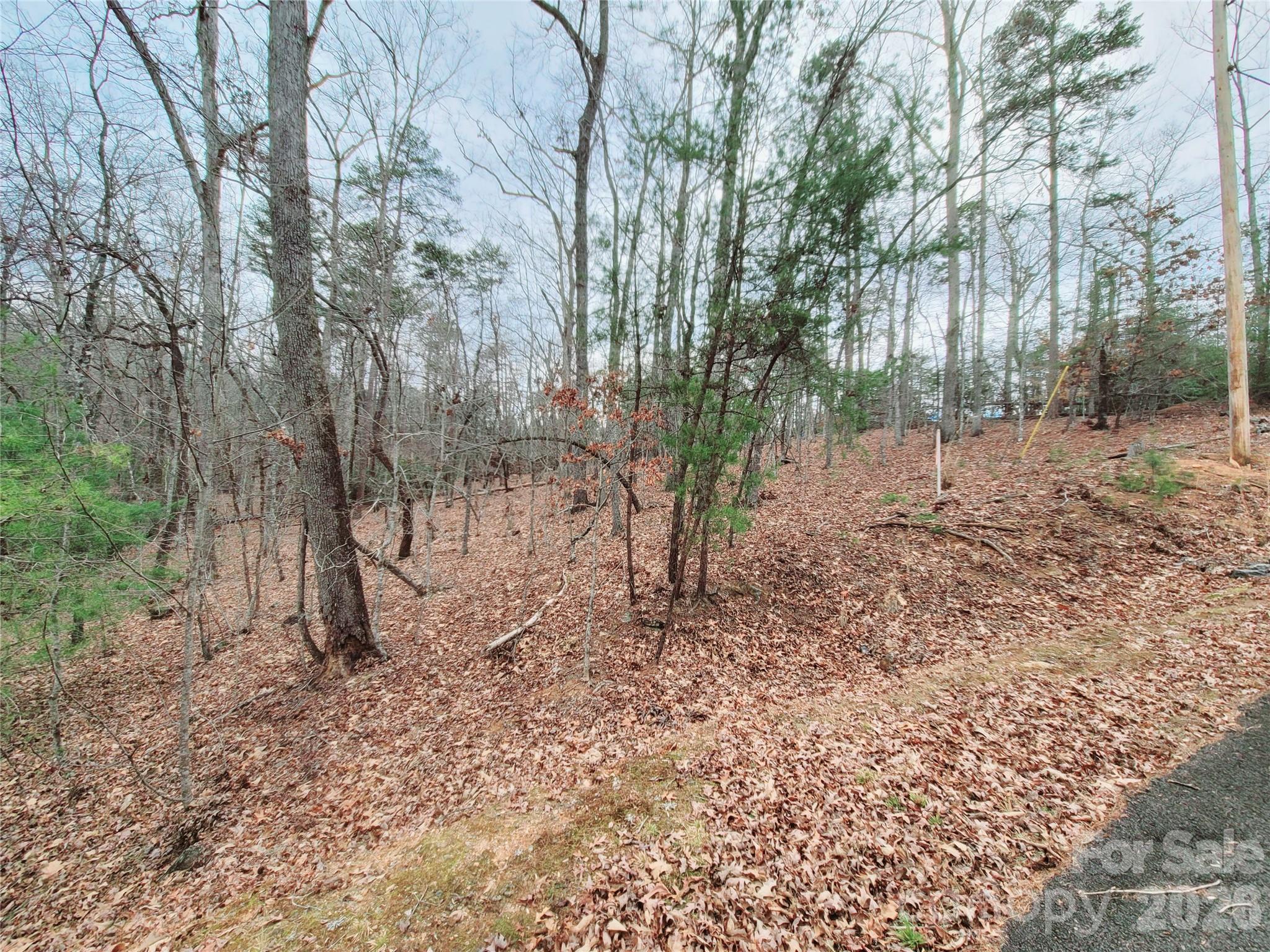 0 Birddog Boulevard Lake Lure NC 28746