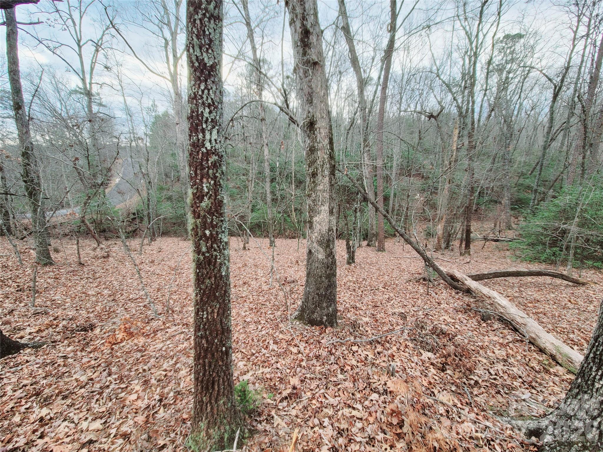 0 Birddog Boulevard Lake Lure NC 28746