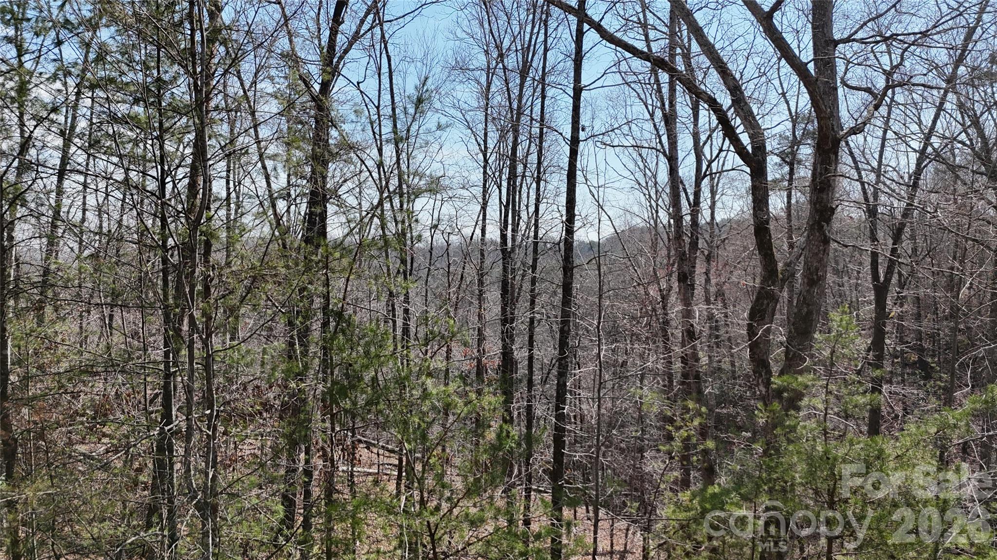 0 Birddog Boulevard Lake Lure NC 28746