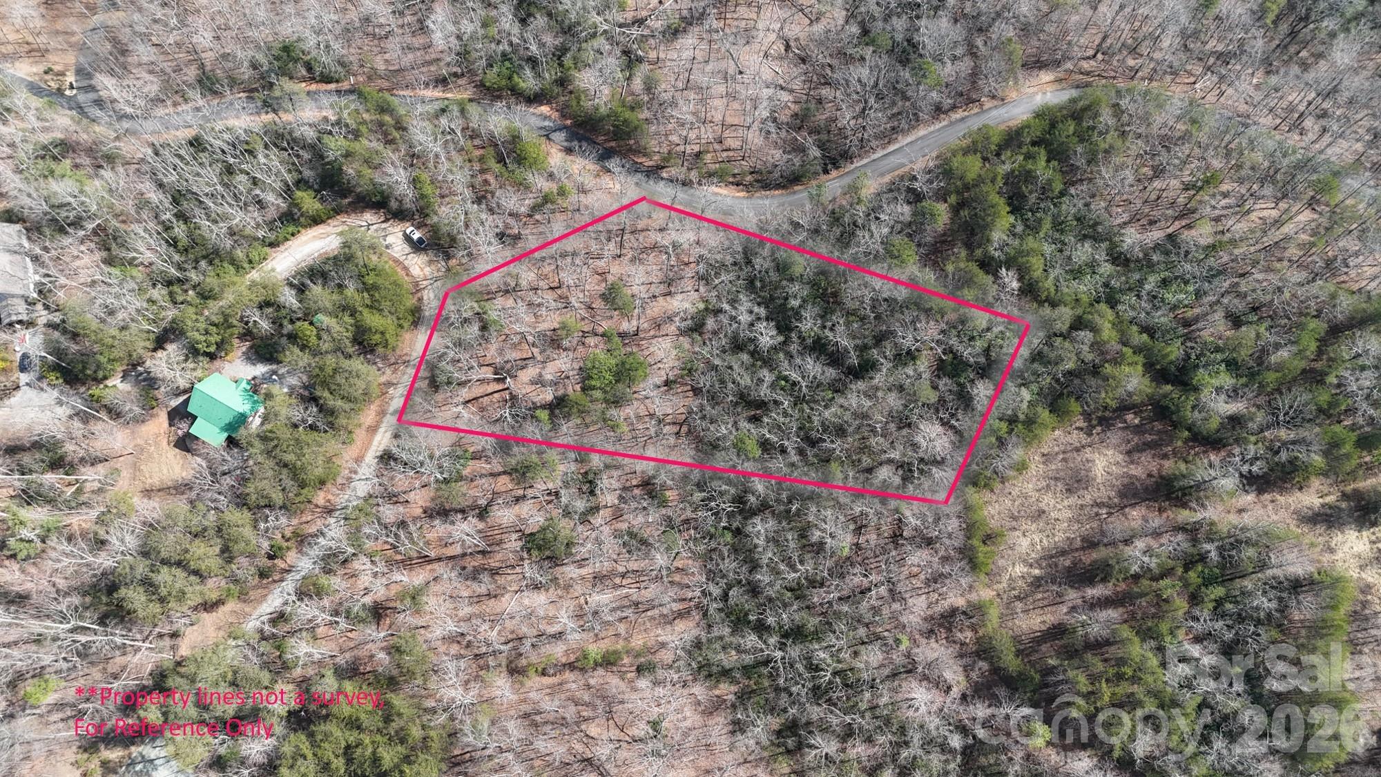 0 Birddog Boulevard Lake Lure NC 28746