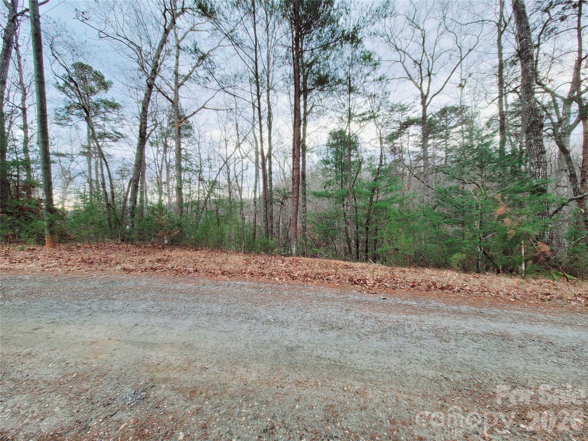 0 Birddog Boulevard Lake Lure NC 28746