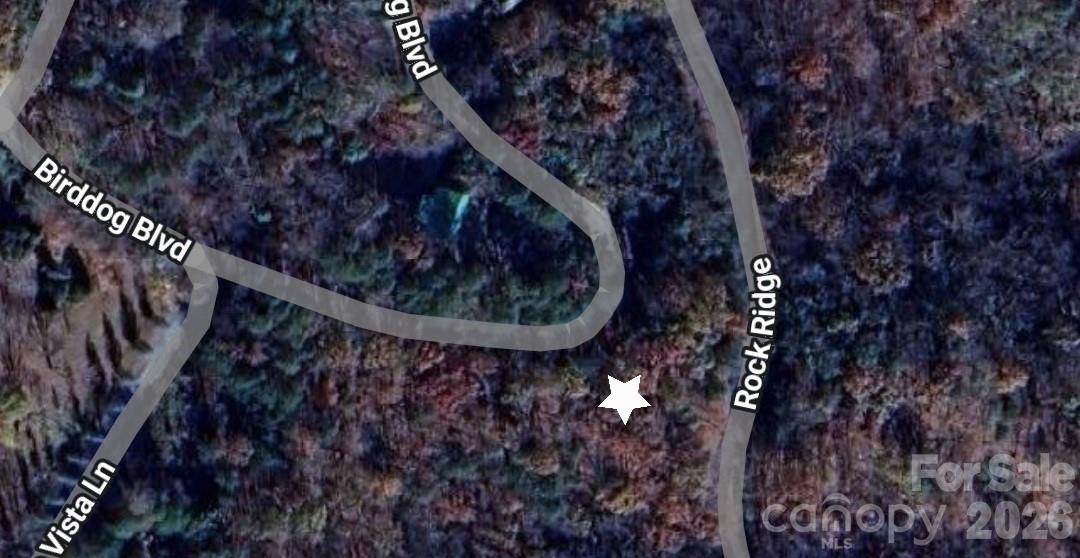 0 Birddog Boulevard Lake Lure NC 28746