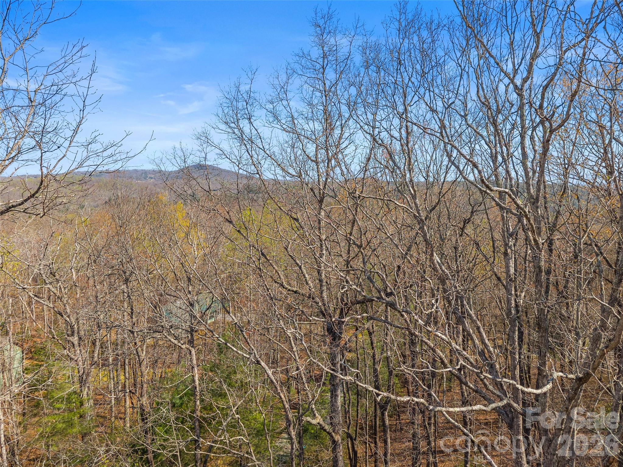 Tbd White Oak Terrace Brevard NC 28712