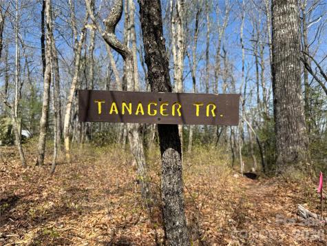 Tbd White Oak Terrace Brevard NC 28712