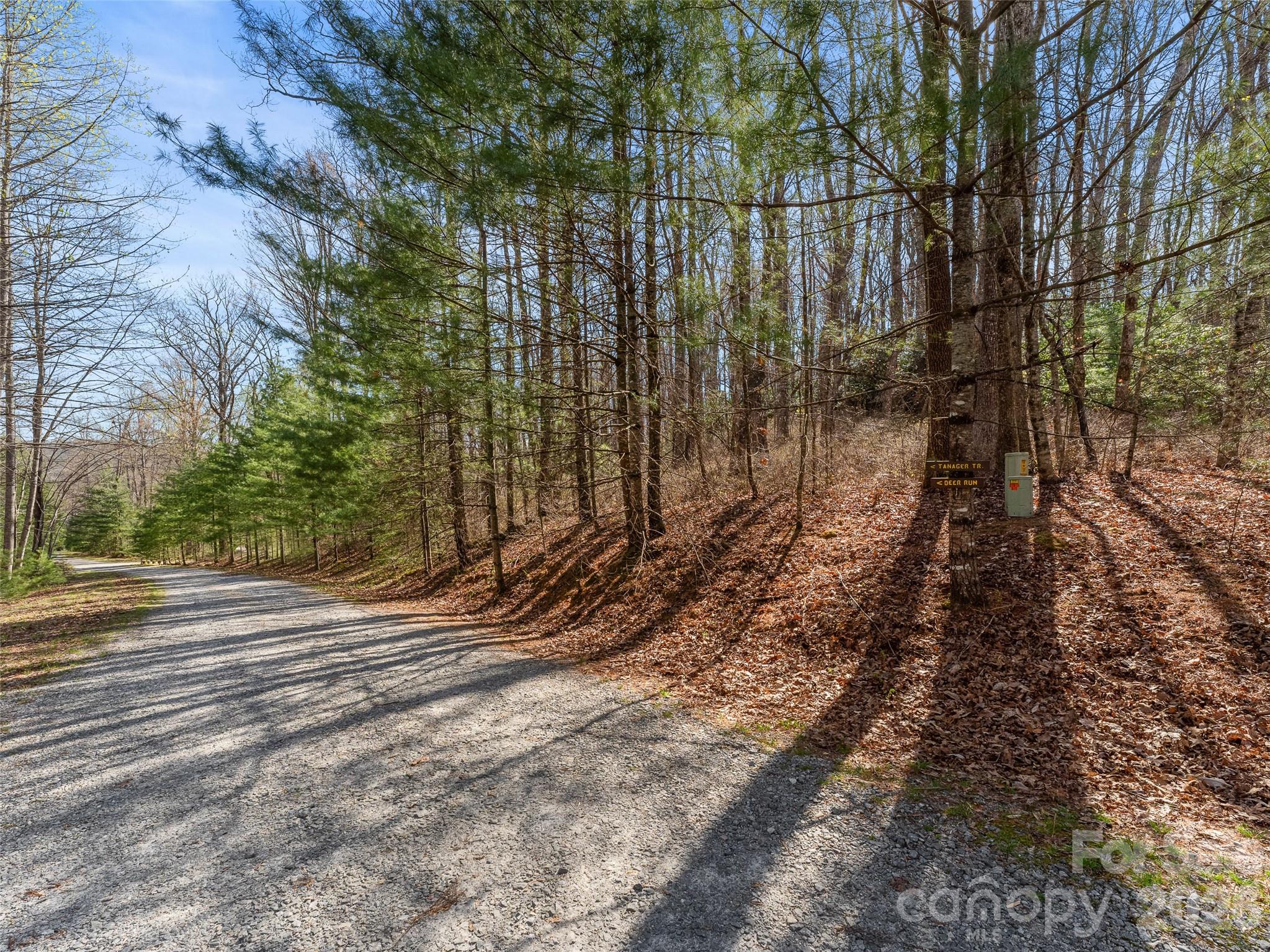 Tbd White Oak Terrace Brevard NC 28712