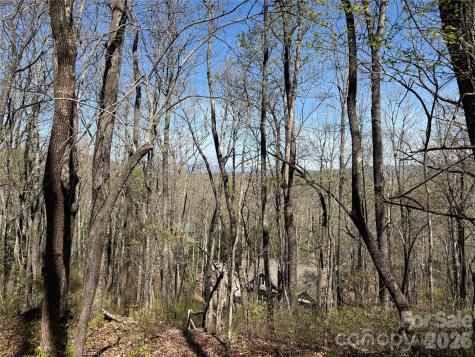 Tbd White Oak Terrace Brevard NC 28712
